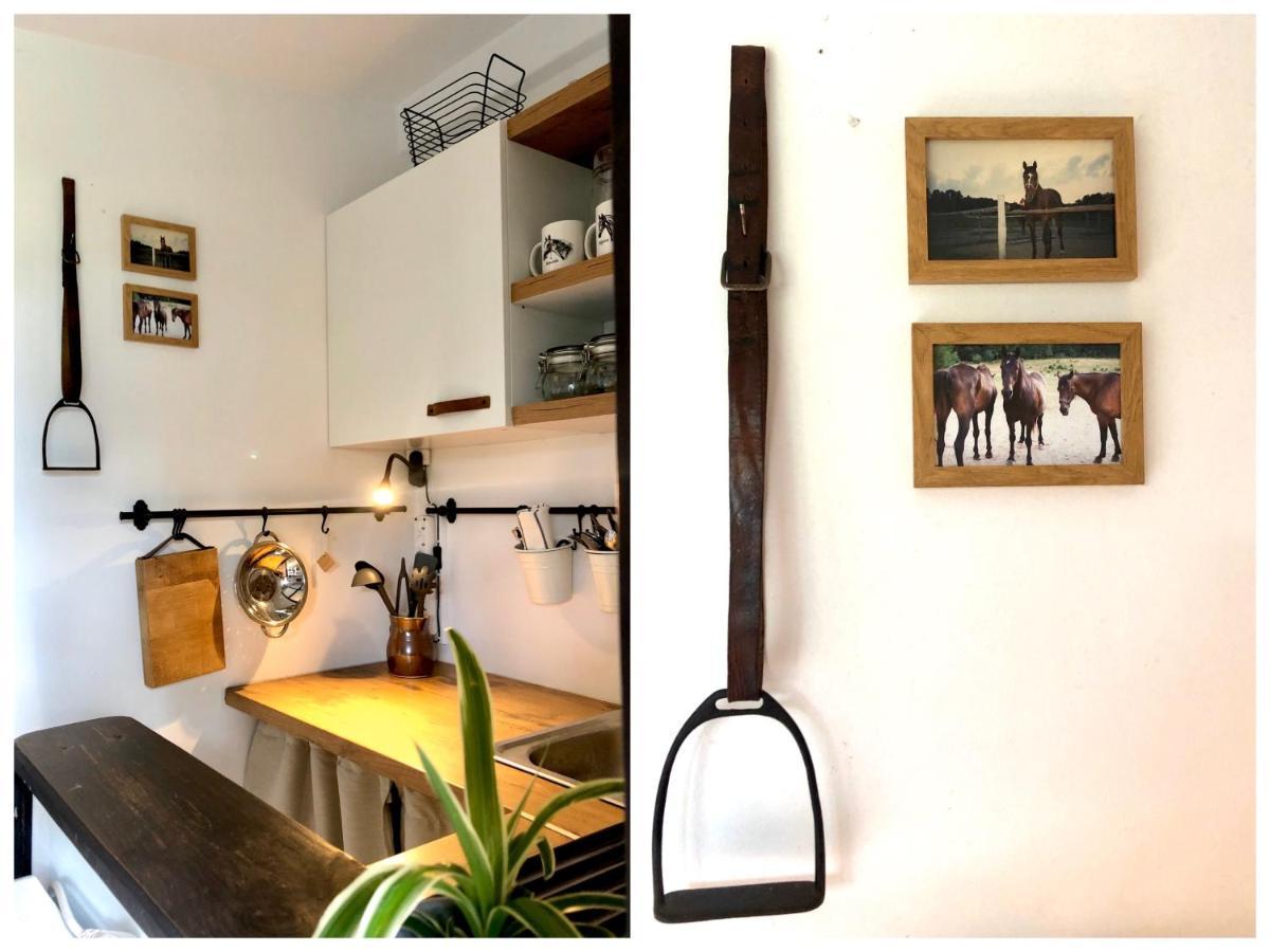 Apartament Lajkonik Dabrowno  Bagian luar foto