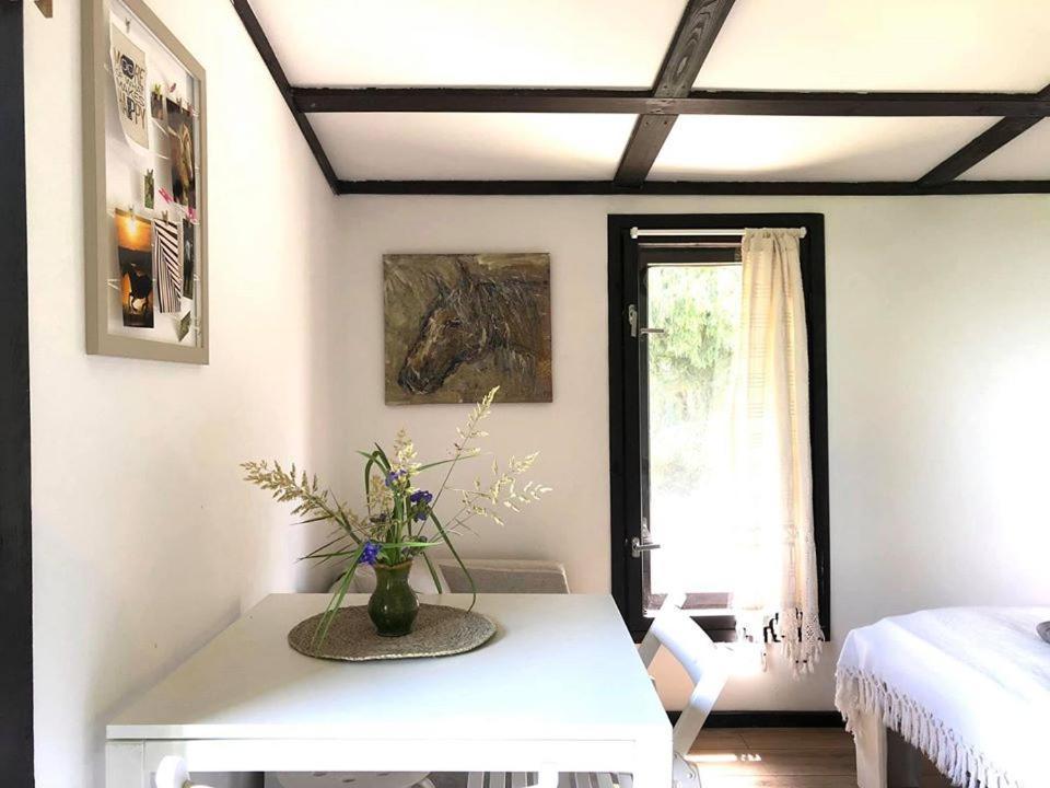 Apartament Lajkonik Dabrowno  Bagian luar foto
