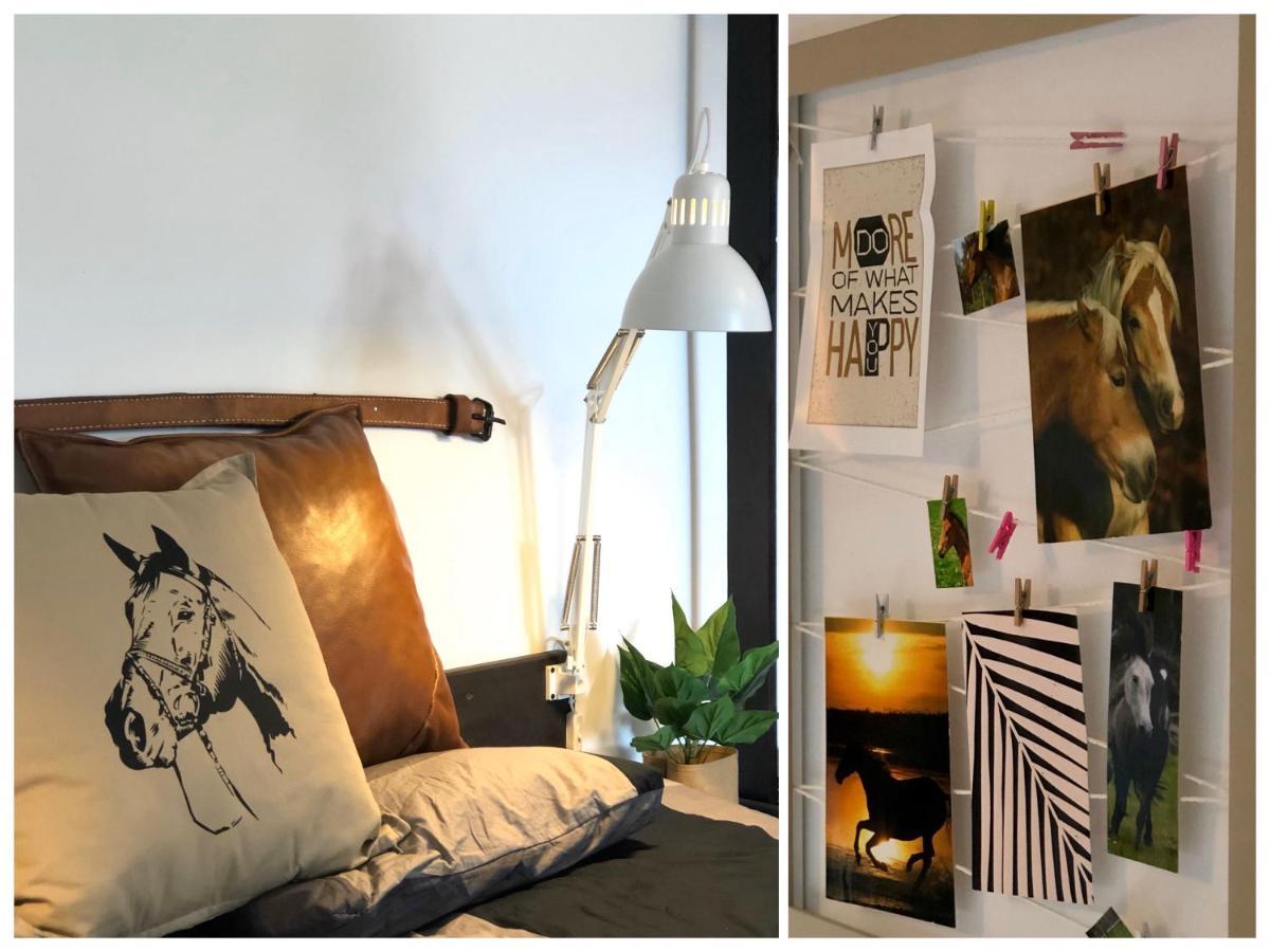 Apartament Lajkonik Dabrowno  Bagian luar foto